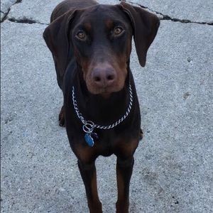 Meet your Posher, Becky